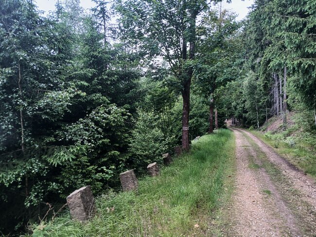 Na Strážní vrch nad ztichlou Libnou