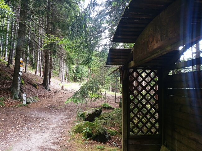 Na Strážní vrch nad ztichlou Libnou