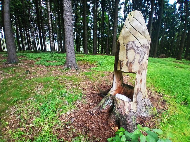 Na Strážní vrch nad ztichlou Libnou