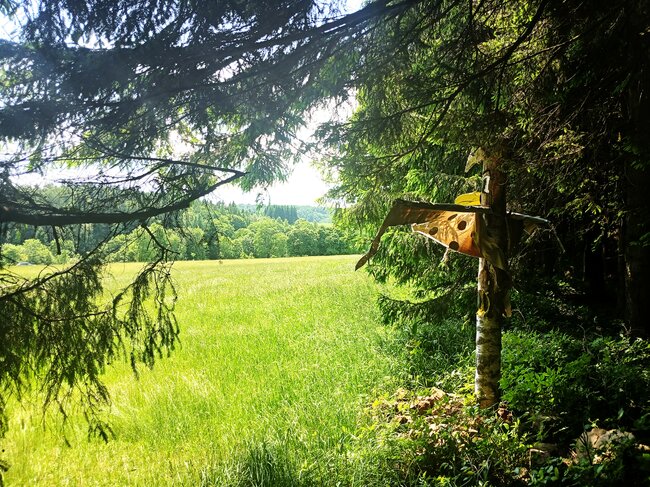 Na Strážní vrch nad ztichlou Libnou