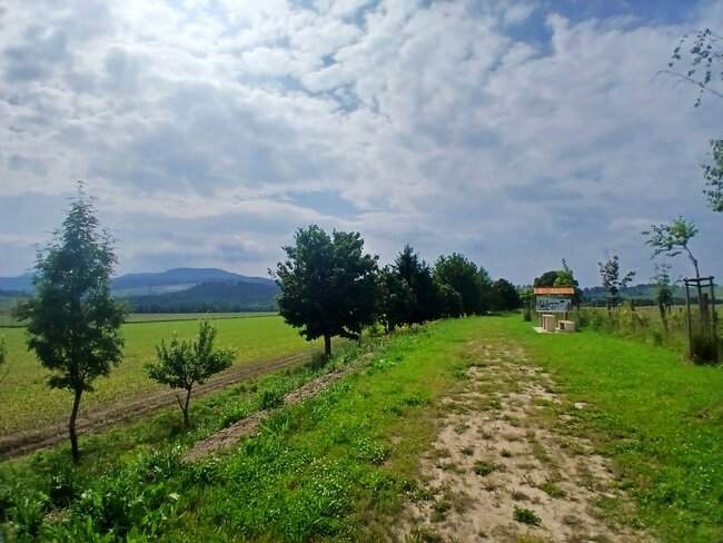 Vítězný Bezděkov: Návrat k rozumné činnosti člověka