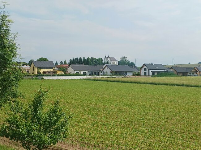 Vítězný Bezděkov: Návrat k rozumné činnosti člověka