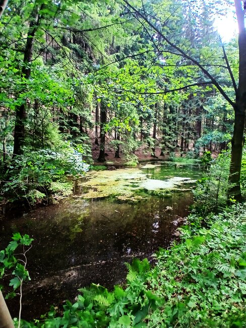 Chladivé Kamínky na polské straně Javořích hor