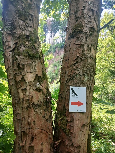 Chladivé Kamínky na polské straně Javořích hor