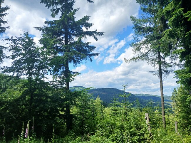Chladivé Kamínky na polské straně Javořích hor