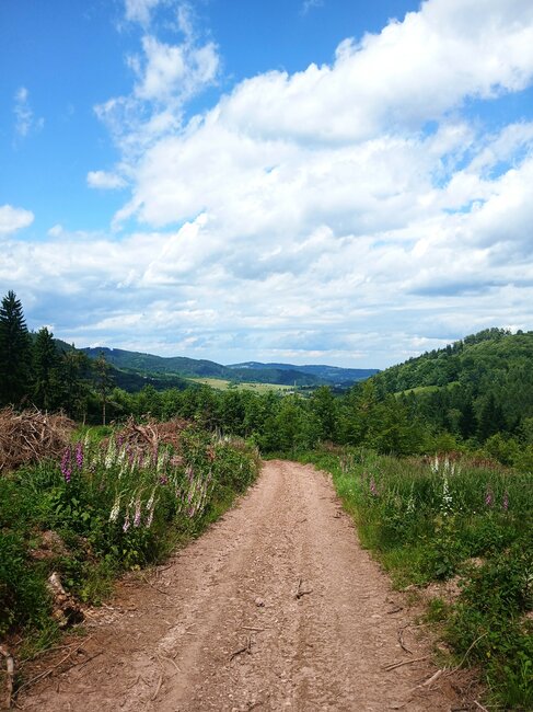 Chladivé Kamínky na polské straně Javořích hor