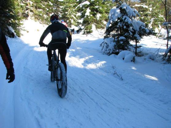 Změna místa závodům psích spřežení neuškodila. Naopak!