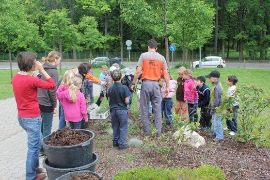 Den s arboristy v Naší zahradě