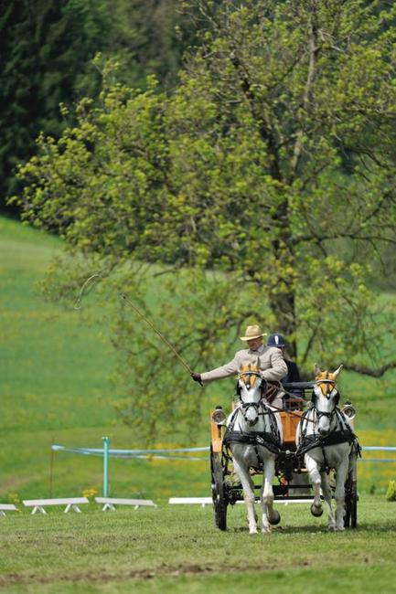 Jiří Nesvačil se stal vítězem v kategorii dvojspřeží při mezinárodních závodech koňských spřežení v Polici nad Metují