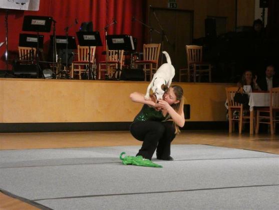 Plesovou sezónu zahájil Ples města Broumova