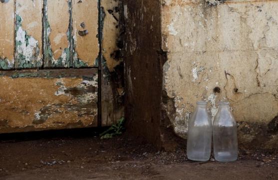 Zlomek z tvorby členky Královské fotografické společnosti