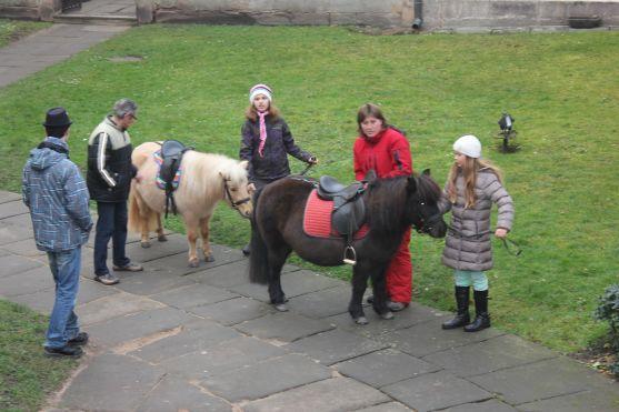 Za vysvědčení Den na koni