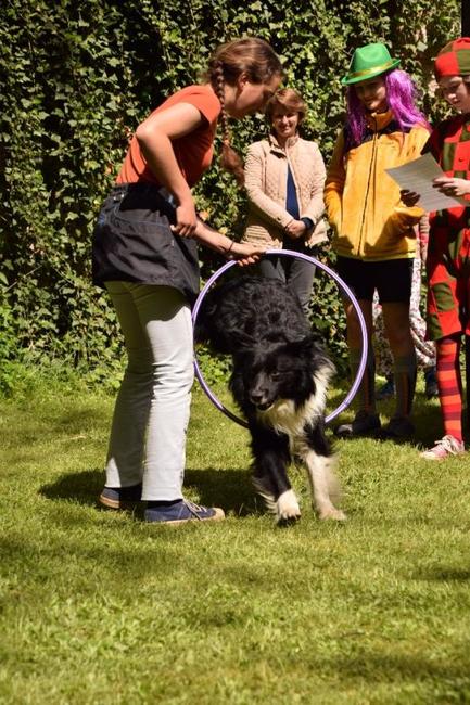 9. Gymplfest přivítal kolem 1000 diváků