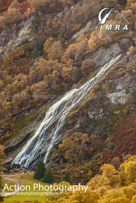 Broumovák na startu běžeckého závodu Powerscourt Ridge v Irsku 