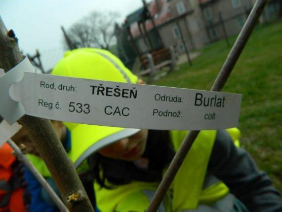 Děti z jetřichovské školy se připojily k jarnímu úklidu Broumovska