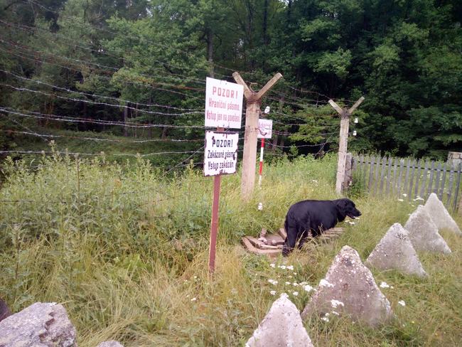 Emil s Kazanem za sebou mají tisíc kilometrů. Momentálně si dávají pauzu