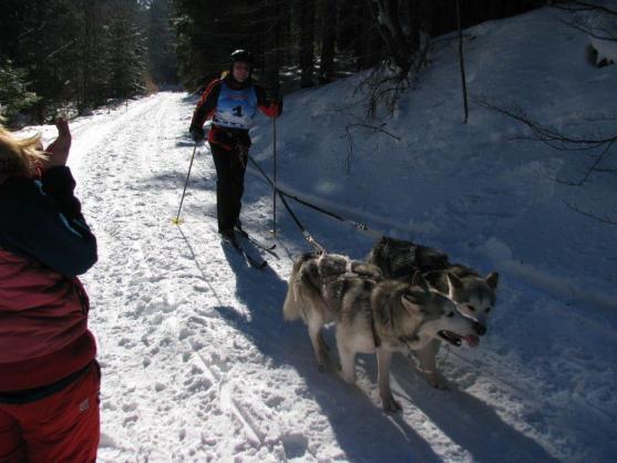Změna místa závodům psích spřežení neuškodila. Naopak!