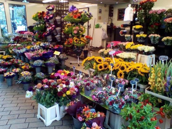 Báječná jízda Holandskem: Broumovští gymnazisté navštívili partnerskou školu ve Warfumu