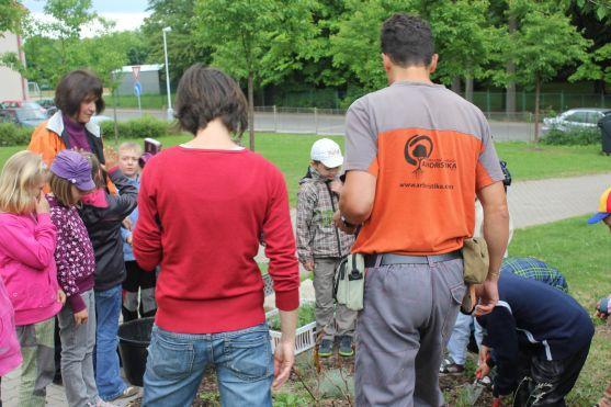 Den s arboristy v Naší zahradě