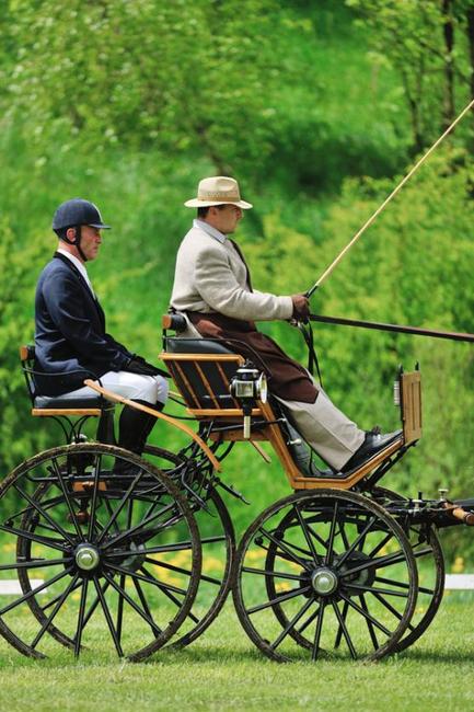 Jiří Nesvačil se stal vítězem v kategorii dvojspřeží při mezinárodních závodech koňských spřežení v Polici nad Metují