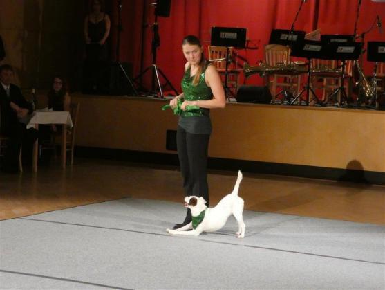 Plesovou sezónu zahájil Ples města Broumova