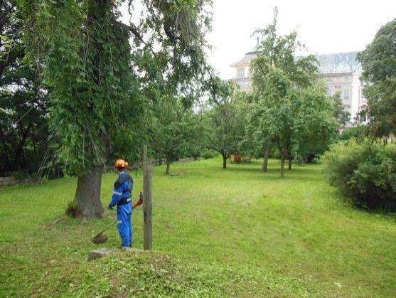 V Broumově se realizuje projekt, který zlepšuje šance na získání zaměstnání lidem se základním vzděláním