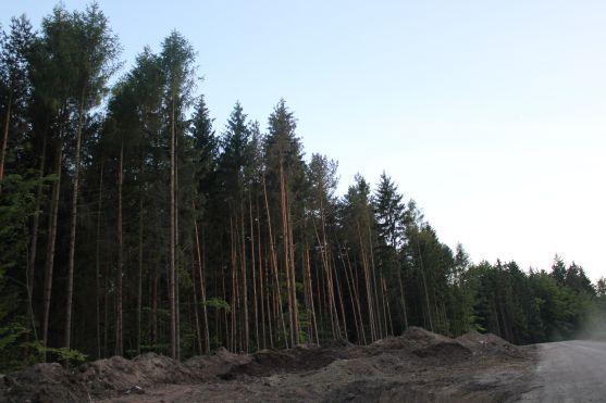 Rekonstrukce silnice přes Pasa se protáhne o tři týdny 