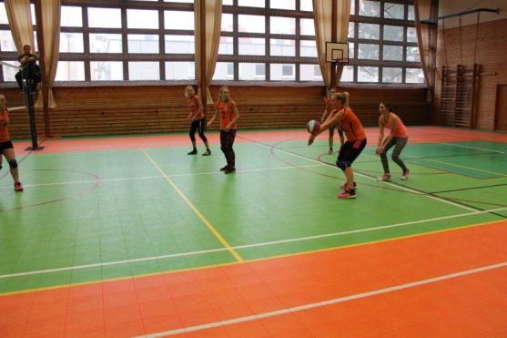 Únor je plný volejbalových událostí