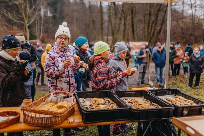 Ovocná alej vysazena na počest loňského Stromu roku