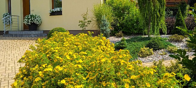 Police nad Metují: Rozkvetlé město 2024