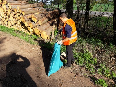 Skauti opět uklízeli les kolem silnice přes Pasa