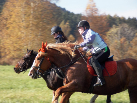 Všichni přátelé koní zvou na tradiční Hubertovy jízdy 