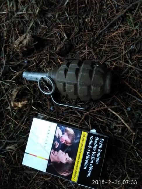 U chodníku v trávě se povaloval ruční granát