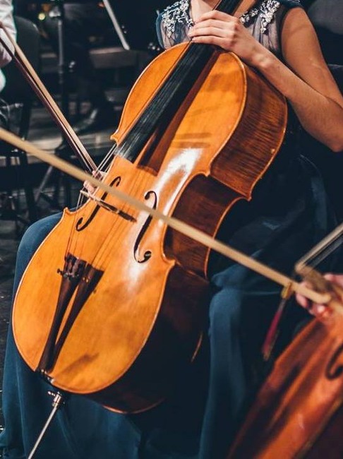 Zloděj rozbil okno a vykradl rodinný dům. Při tom sebral dva hudební nástroje
