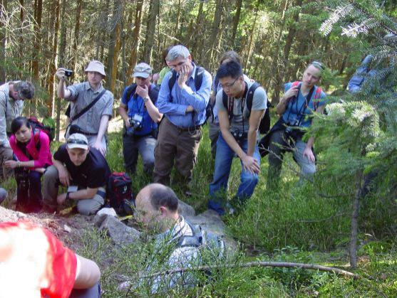 Adršpašsko - teplické skály svými kvalitami patří na seznam světového přírodního dědictví UNESCO
