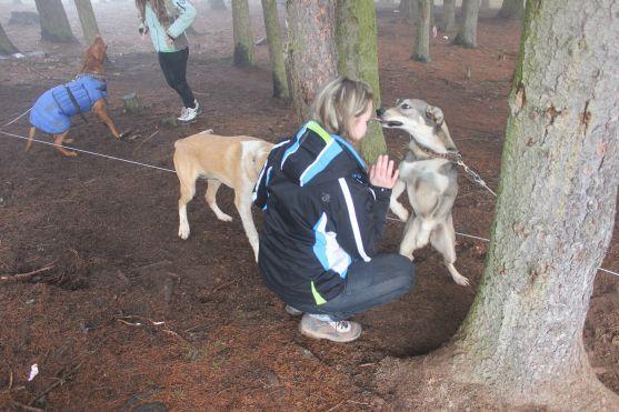 Letos se se psy běhalo a jezdilo na kárách, koloběžkách a kolech