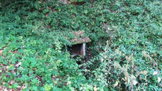 Váš hlas může zachránit dvě teplické studánky