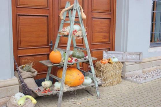 Dýňové slavnosti v Centru Walzel? Fenomenální!