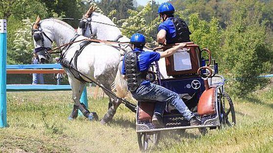 Police nad Metují se připravuje na mezinárodní spřežení 2013