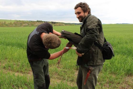 Černý čáp znovu létá nad Vlásenkou