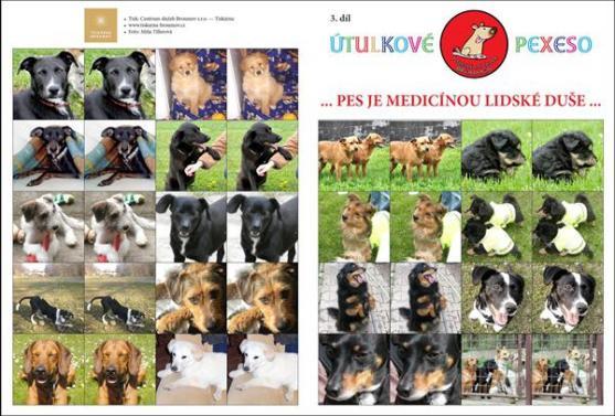 Třetí díl Útulkového pexesa a pohlednic je již v prodeji