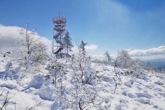 Včerejší zimní pohádka na Ruprechtickém Špičáku