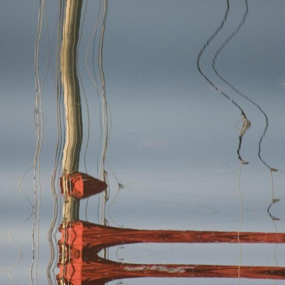 Zlomek z tvorby členky Královské fotografické společnosti