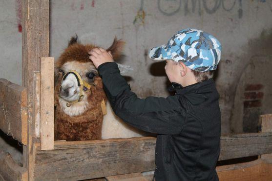 Za vysvědčení Den na koni