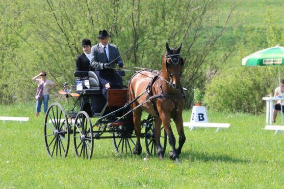 Na polické závody koňských spřežení přijedou jezdci ze sedmi států