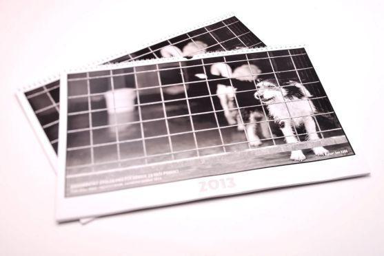 Prodej kalendáře podpoří útulek pro psy v Broumově