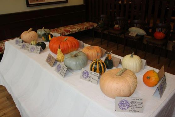 Na Dýňových slavnostech v Centru Walzel předvedly kuchařky svoji nekonečnou fantazii