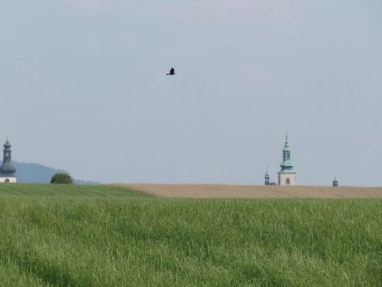 Hrozba sucha – pomůže zádrž vody v krajině? 