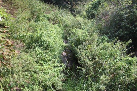 Do odvolání platí zákaz odběru povrchových vod z vodních toků