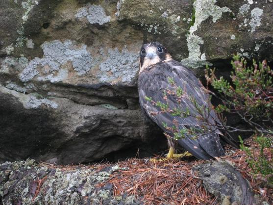 Nabídka akcí na Broumovsku pro víkend od 24. do 26. dubna